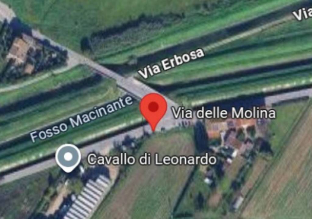 immagine annuncio 2 di 12