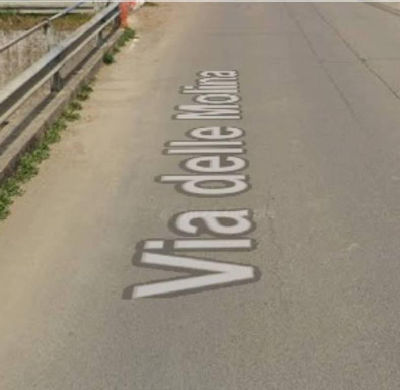 immagine annuncio 3 di 12