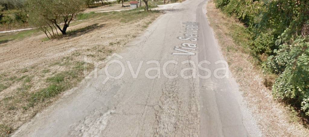 immagine annuncio 8 di 11