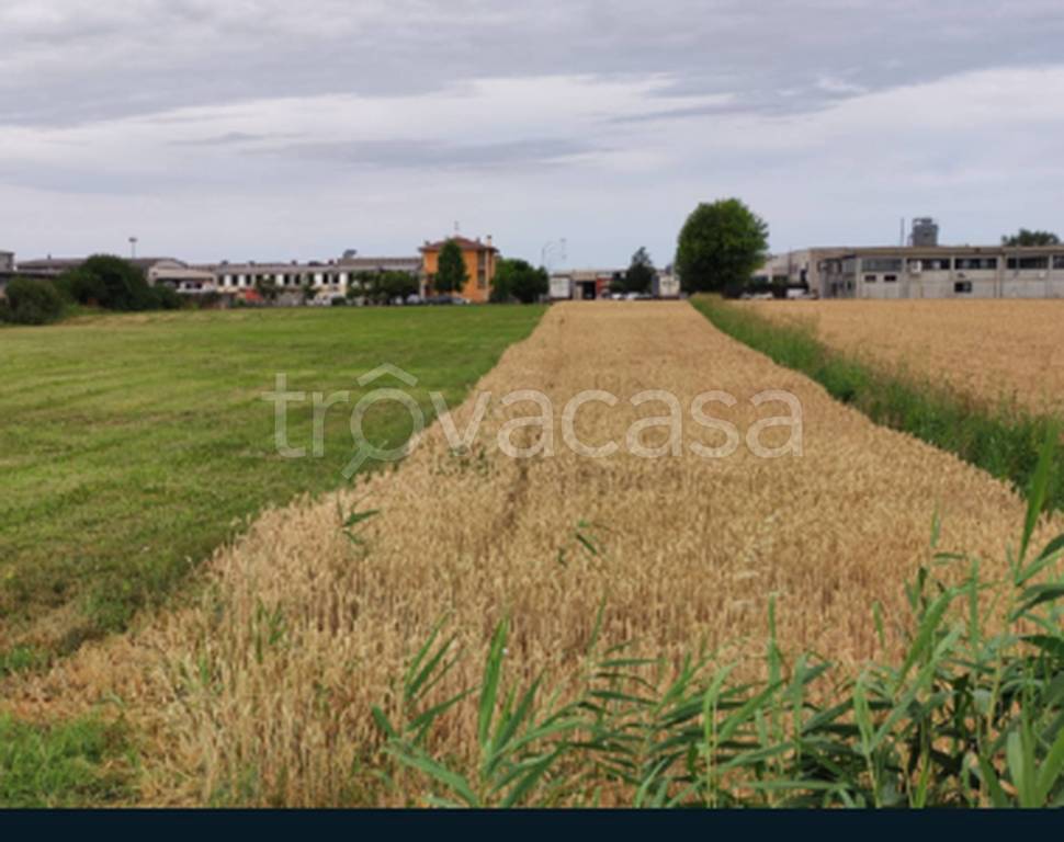 immagine annuncio 10 di 13