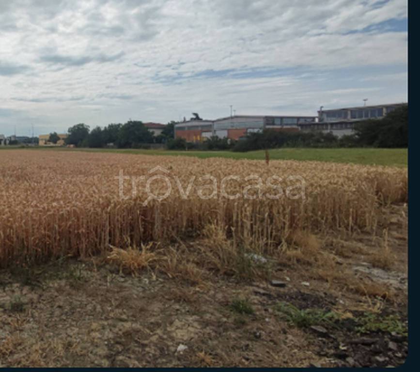 immagine annuncio 12 di 13