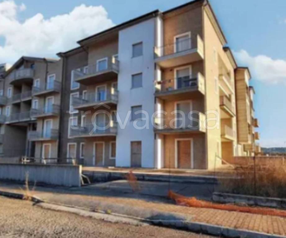 immagine annuncio 11 di 13