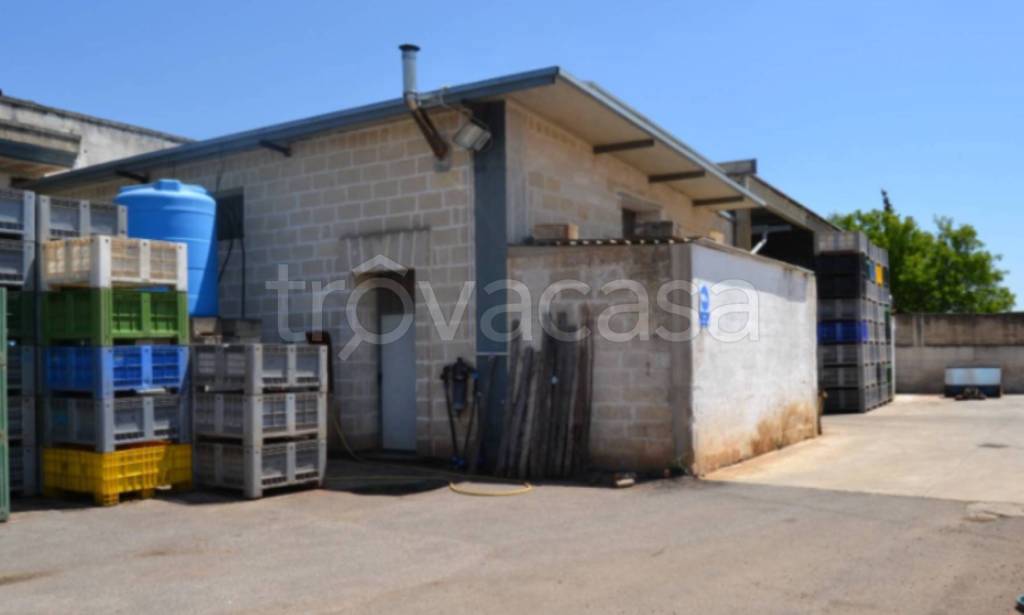 immagine annuncio 7 di 12