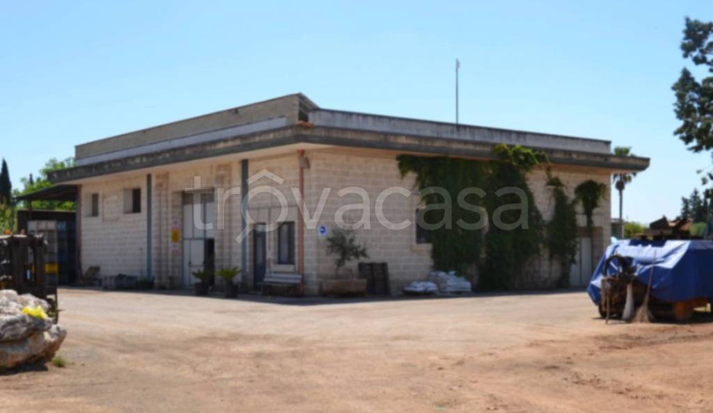 immagine annuncio 8 di 12