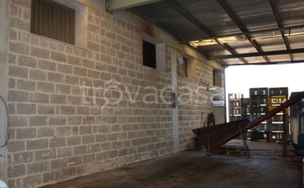 immagine annuncio 9 di 12