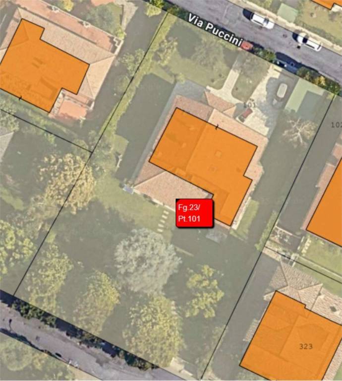 immagine annuncio 4 di 15