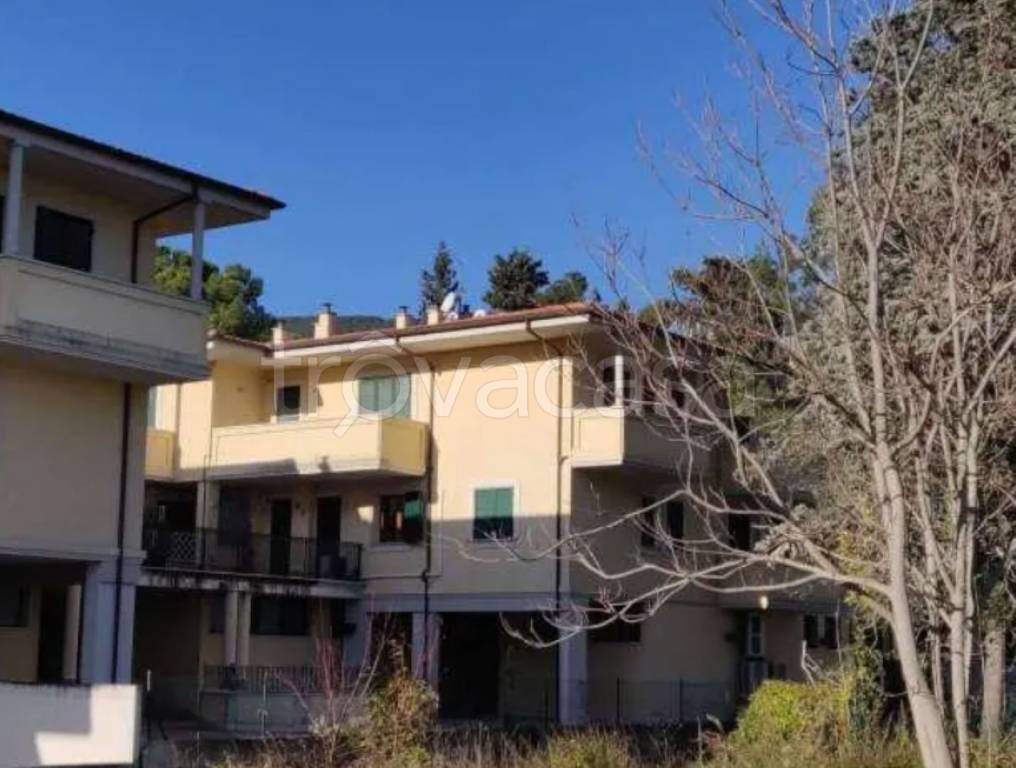 immagine annuncio 2 di 11