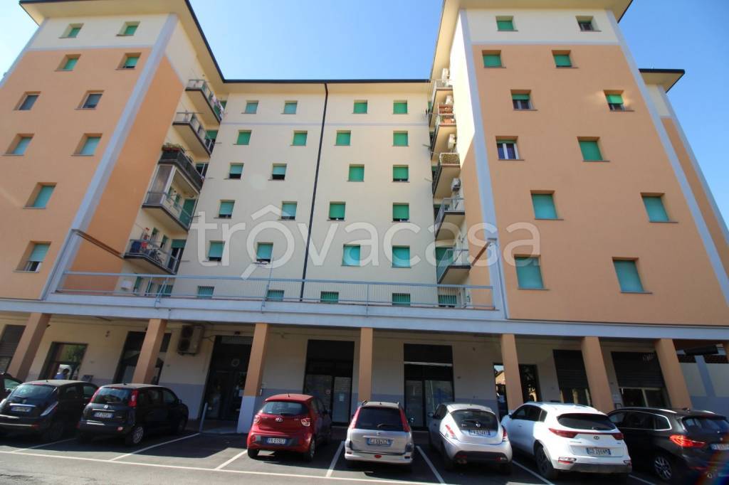 immagine annuncio 13 di 15