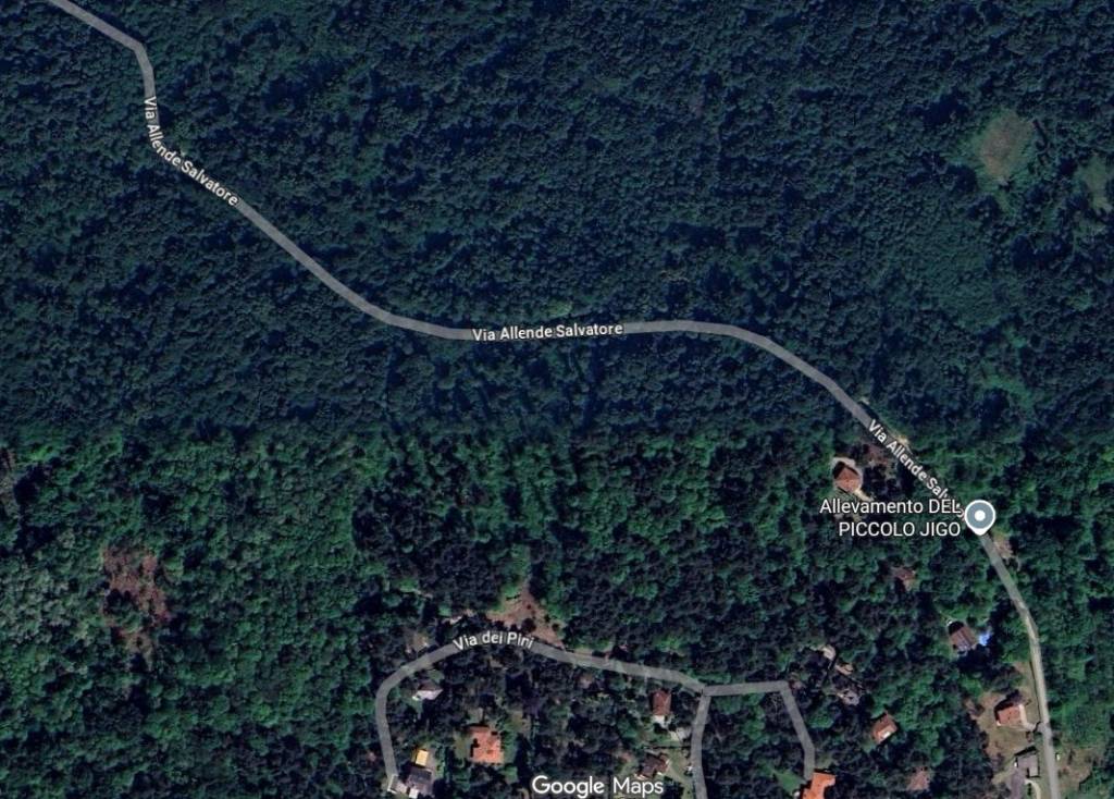 immagine annuncio 3 di 15