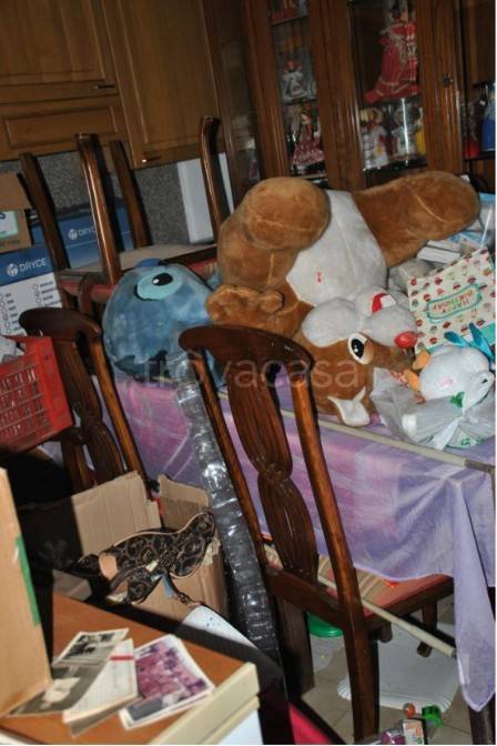 immagine annuncio 9 di 15