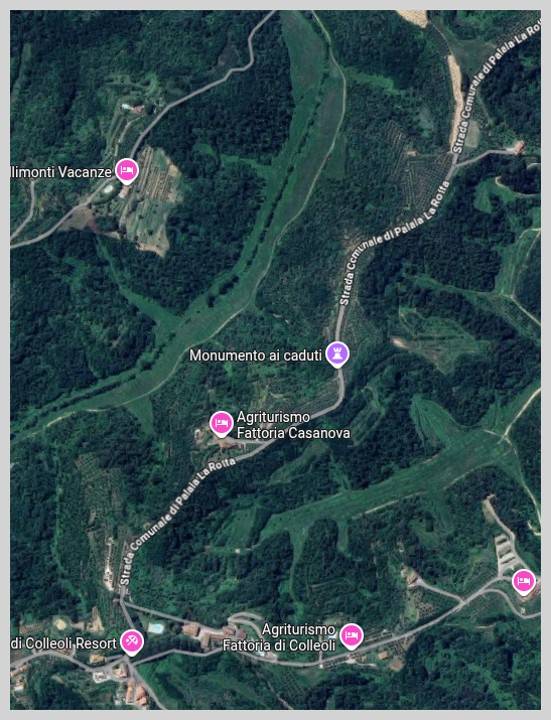 immagine annuncio 12 di 15