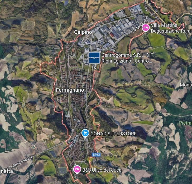 immagine annuncio 1 di 15