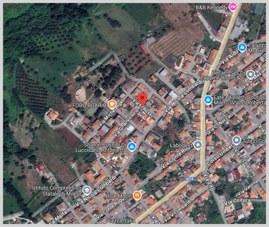 immagine annuncio 12 di 15