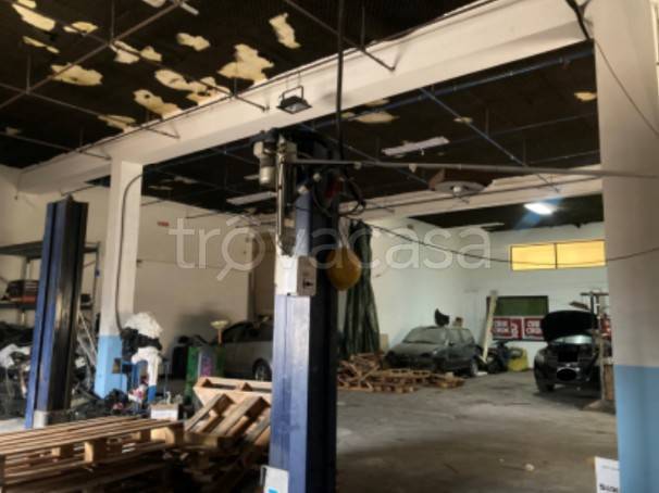 immagine annuncio 9 di 15