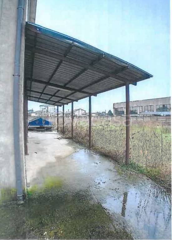 immagine annuncio 11 di 15