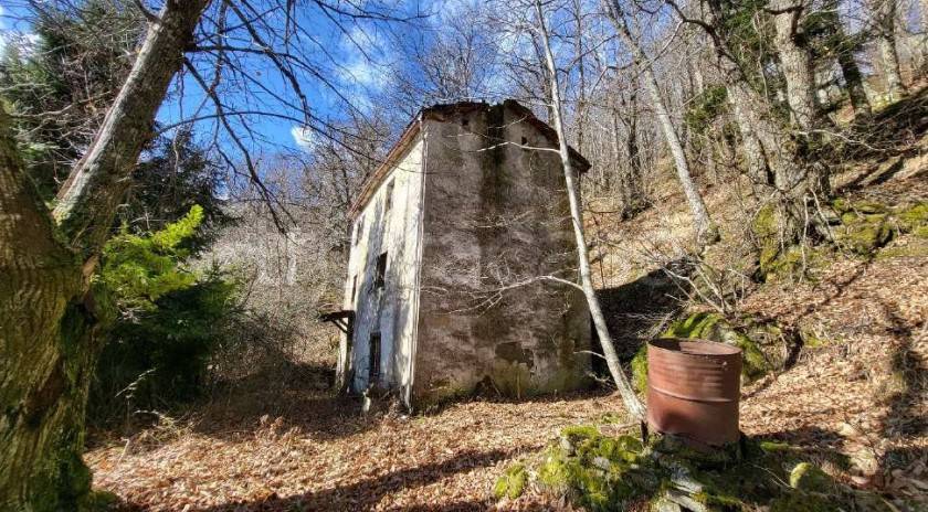 immagine annuncio 1 di 9