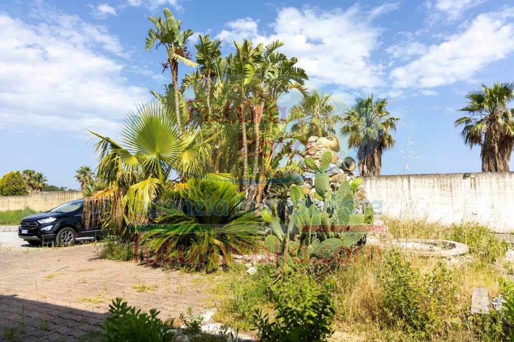 immagine annuncio 12 di 14