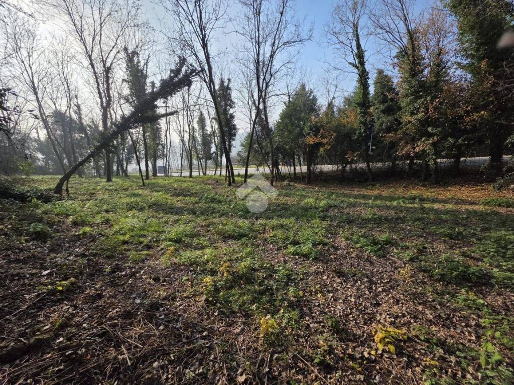 immagine annuncio 3 di 14