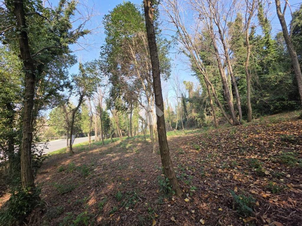 immagine annuncio 6 di 14