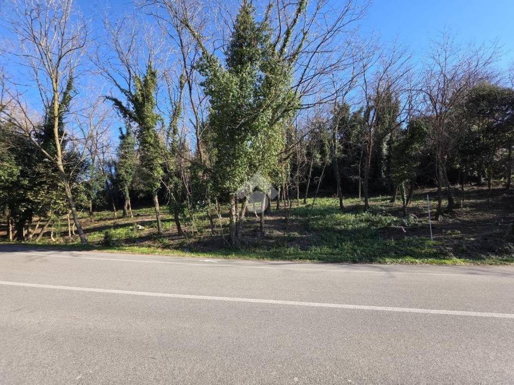 immagine annuncio 10 di 14