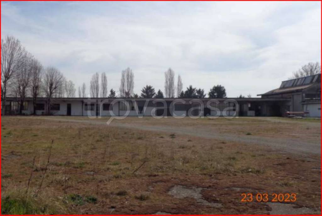 immagine annuncio 10 di 15