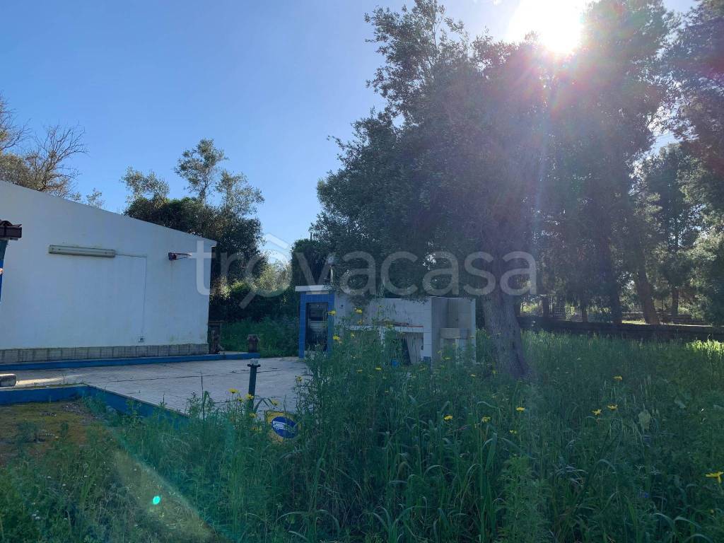 immagine annuncio 2 di 12