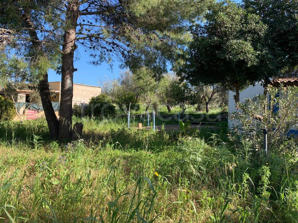 immagine annuncio 4 di 12