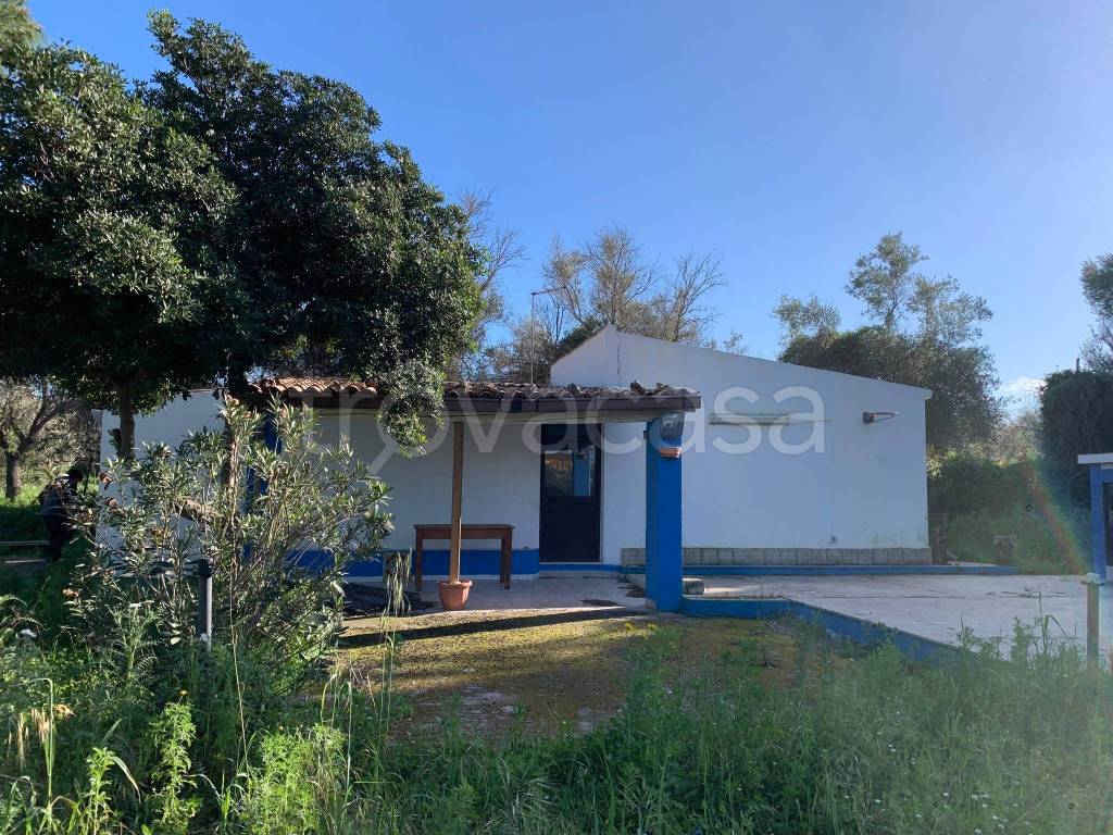 immagine annuncio 7 di 12