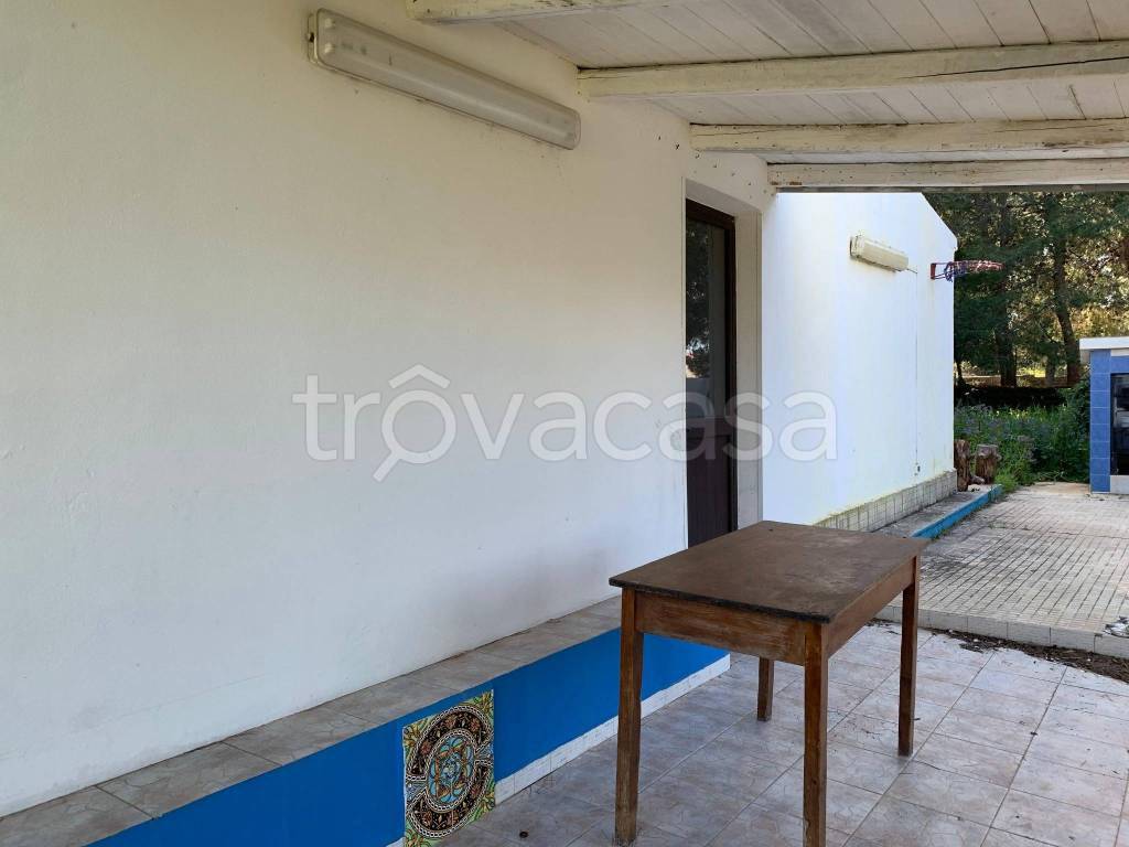 immagine annuncio 9 di 12