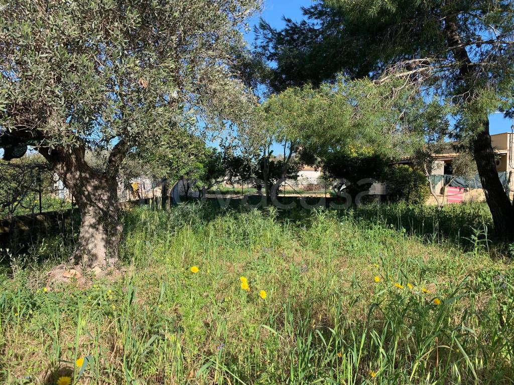 immagine annuncio 11 di 12