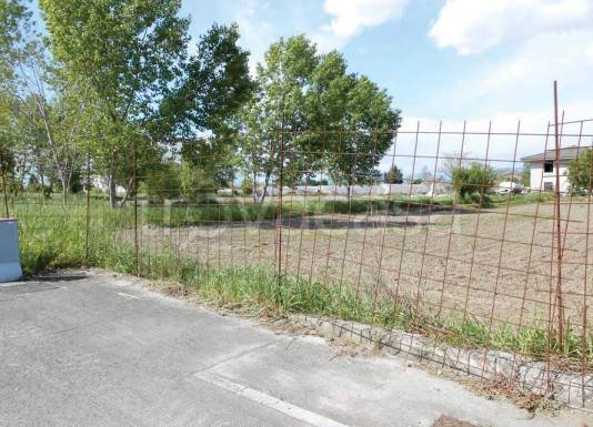 immagine annuncio 7 di 13