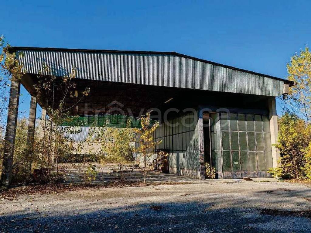 immagine annuncio 3 di 12