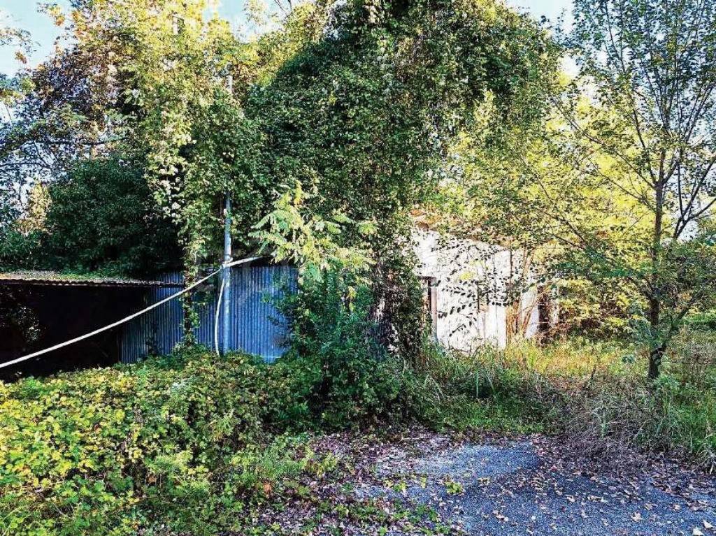 immagine annuncio 5 di 12