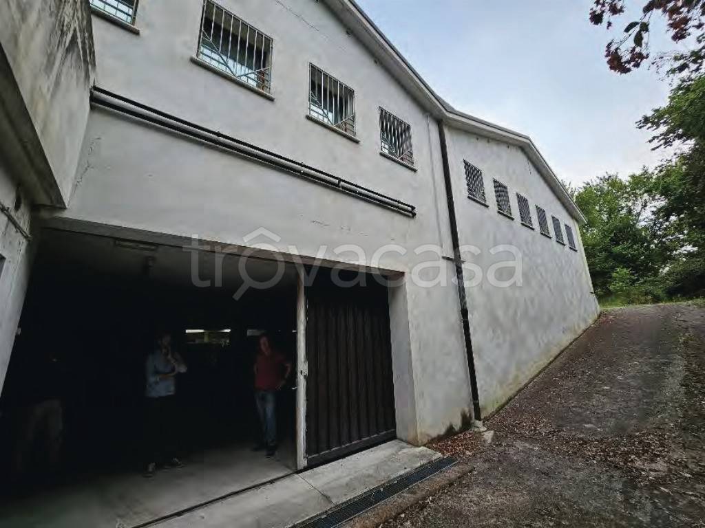 immagine annuncio 6 di 12