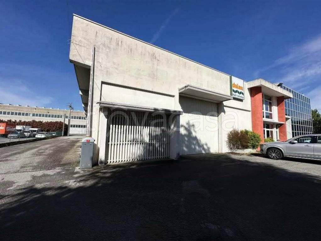 immagine annuncio 1 di 12