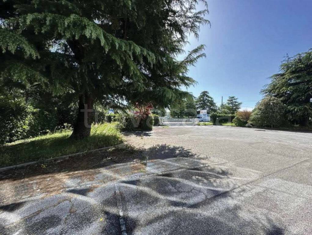 immagine annuncio 3 di 12