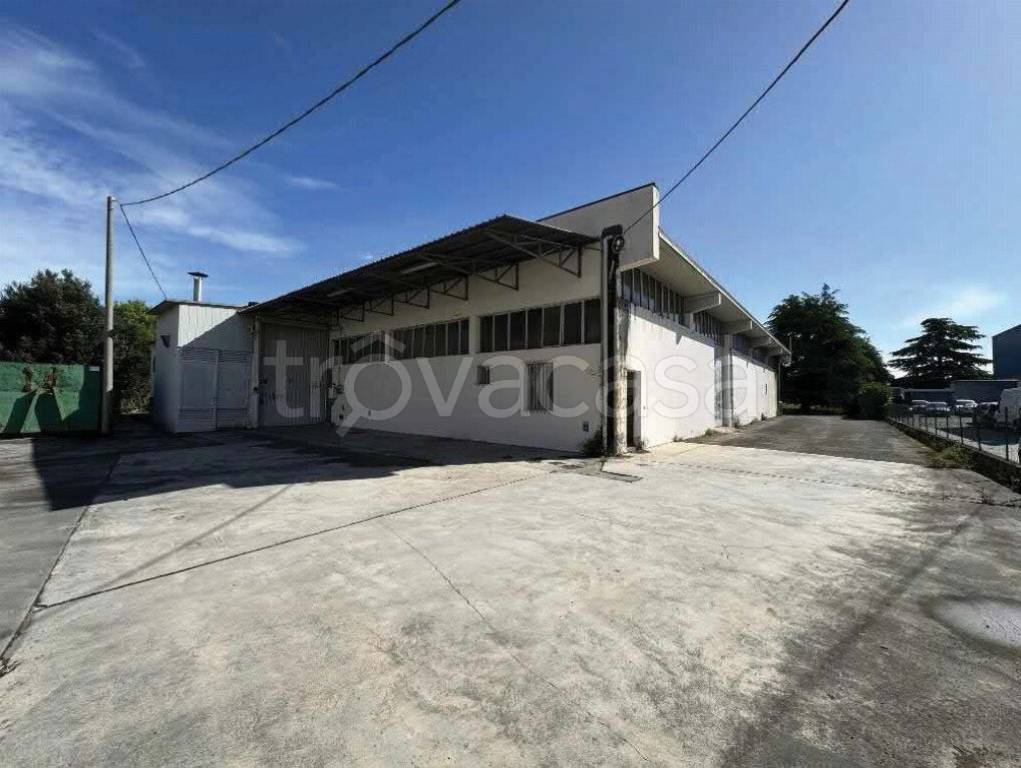 immagine annuncio 5 di 12