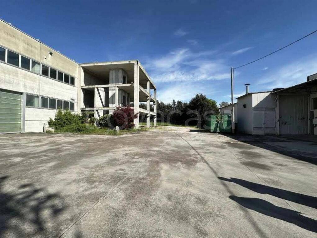 immagine annuncio 6 di 12