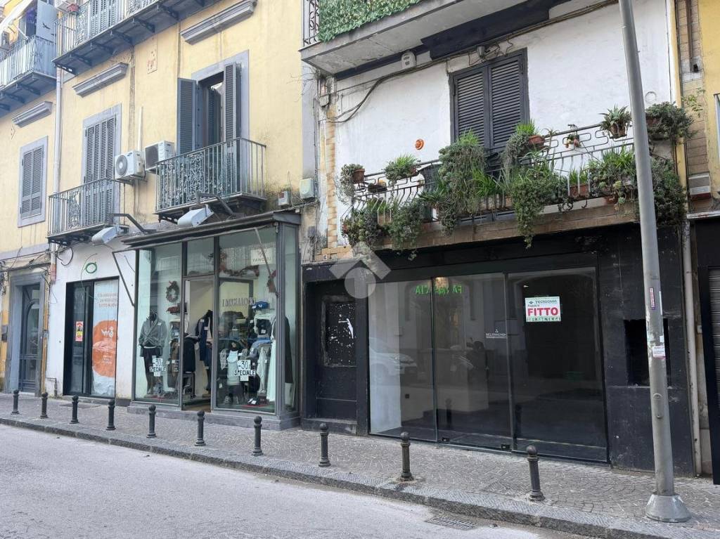 immagine annuncio 7 di 14