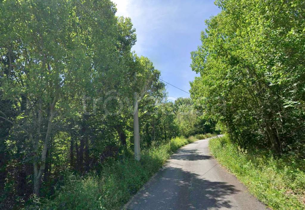 immagine annuncio 11 di 13