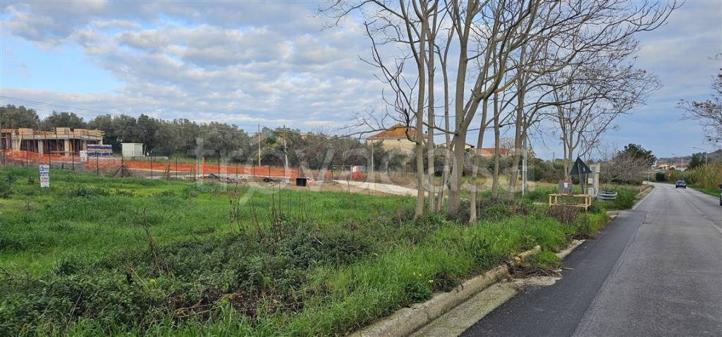 immagine annuncio 10 di 15