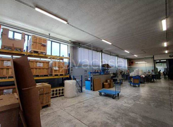 immagine annuncio 3 di 13