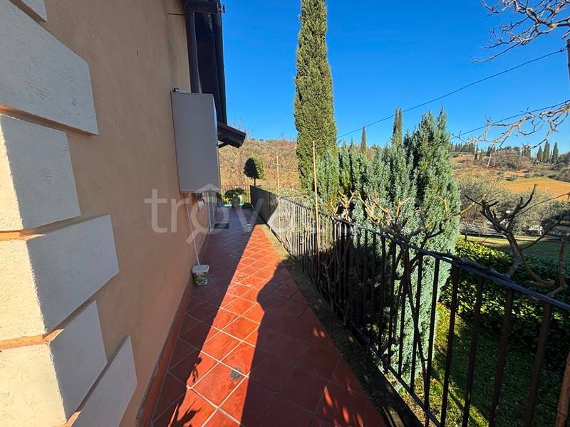 immagine annuncio 9 di 14