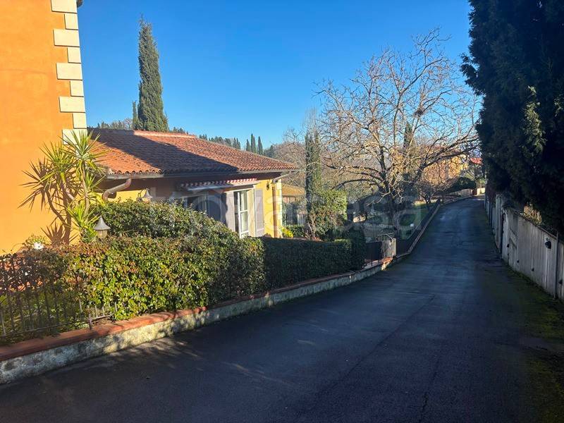 immagine annuncio 12 di 14