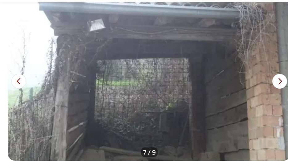 immagine annuncio 10 di 13