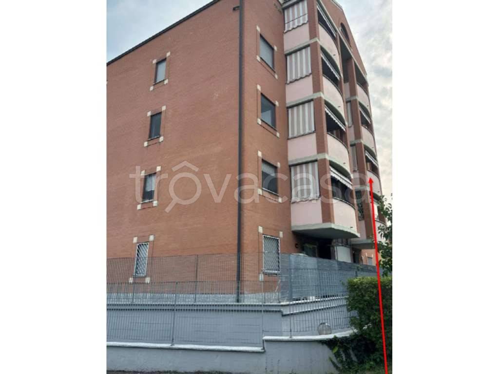 immagine annuncio 8 di 12