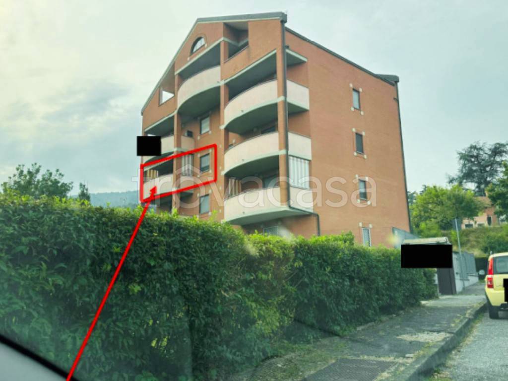 immagine annuncio 1 di 12