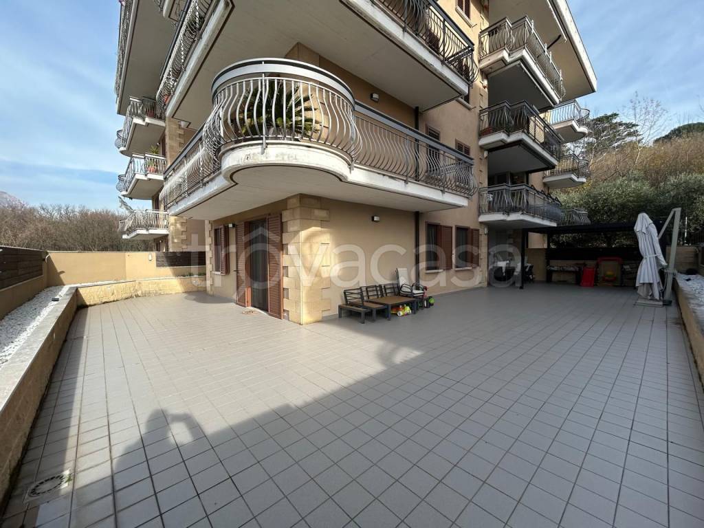 immagine annuncio 5 di 12