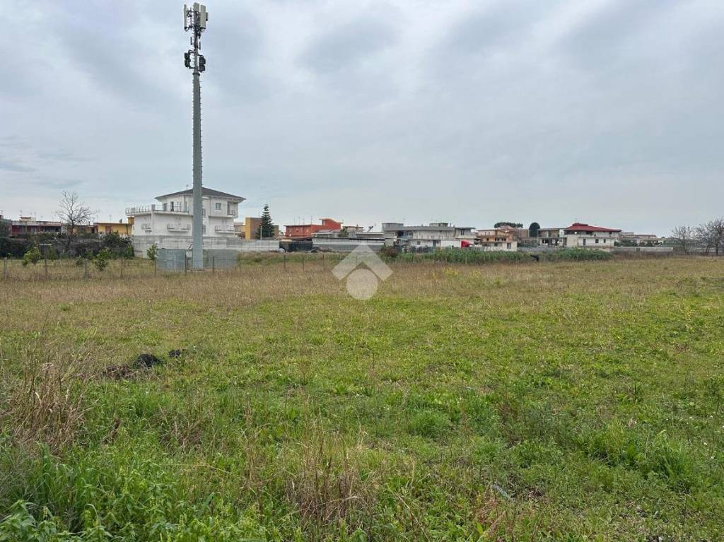 immagine annuncio 3 di 9