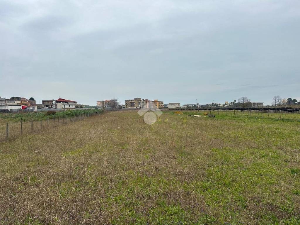 immagine annuncio 5 di 9